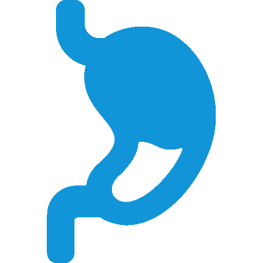 Equipo de endoscopía